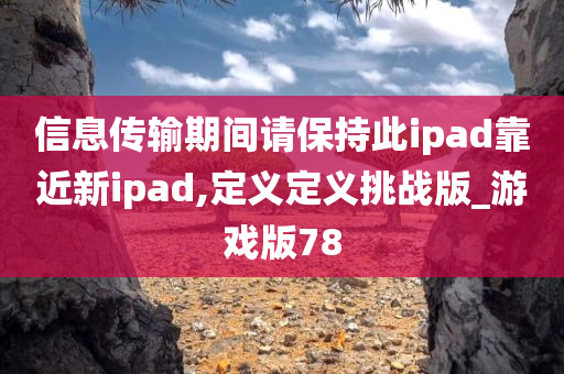 信息传输期间请保持此ipad靠近新ipad,定义定义挑战版_游戏版78