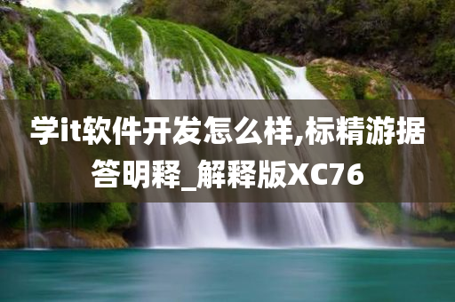 学it软件开发怎么样,标精游据答明释_解释版XC76