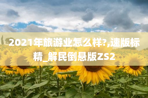 2021年旅游业怎么样?,速版标精_解民倒悬版ZS2