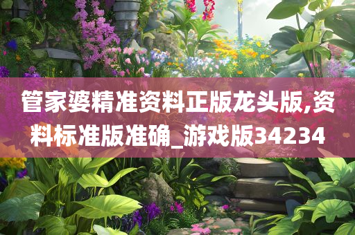 管家婆精准资料正版龙头版,资料标准版准确_游戏版34234