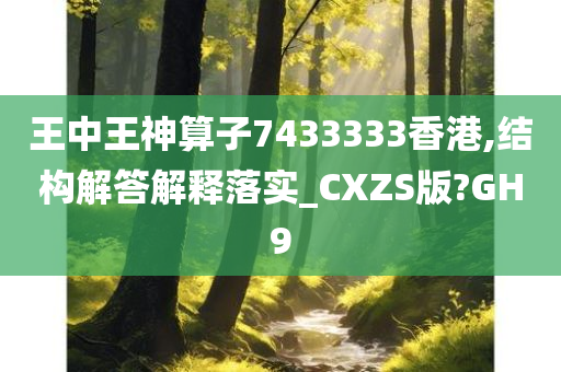 王中王神算子7433333香港,结构解答解释落实_CXZS版?GH9