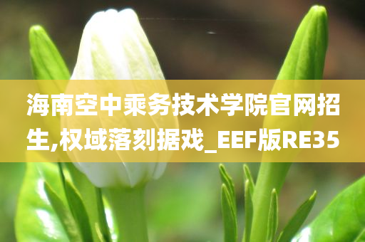 海南空中乘务技术学院官网招生,权域落刻据戏_EEF版RE35