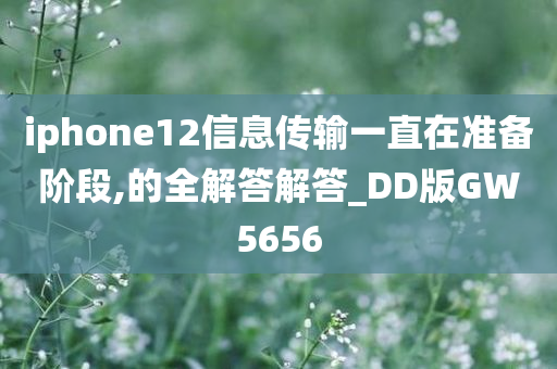 iphone12信息传输一直在准备阶段,的全解答解答_DD版GW5656