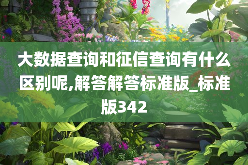 大数据查询和征信查询有什么区别呢,解答解答标准版_标准版342