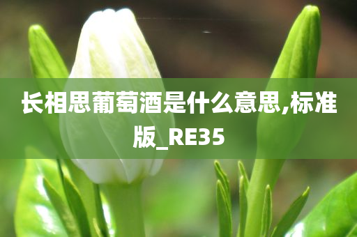 长相思葡萄酒是什么意思,标准版_RE35