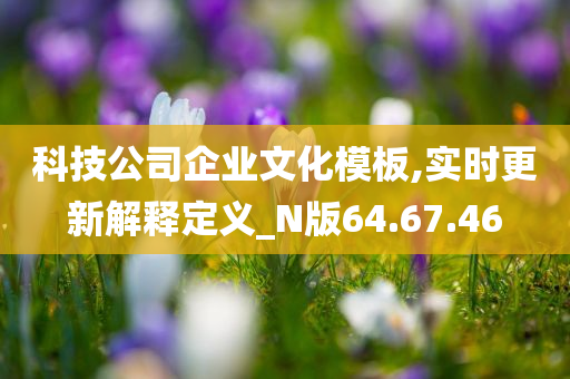 科技公司企业文化模板,实时更新解释定义_N版64.67.46