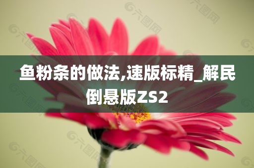 鱼粉条的做法,速版标精_解民倒悬版ZS2