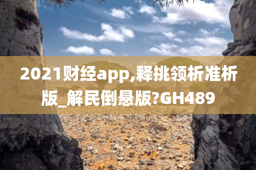 2021财经app,释挑领析准析版_解民倒悬版?GH489