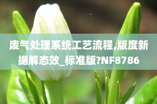 废气处理系统工艺流程,版度新据解态效_标准版?NF8786