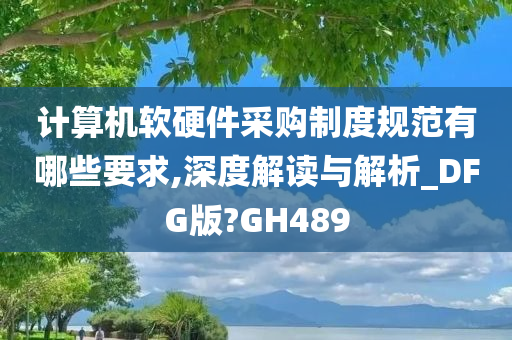 计算机软硬件采购制度规范有哪些要求,深度解读与解析_DFG版?GH489