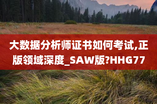 大数据分析师证书如何考试,正版领域深度_SAW版?HHG77