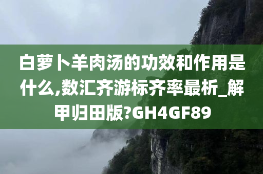 白萝卜羊肉汤的功效和作用是什么,数汇齐游标齐率最析_解甲归田版?GH4GF89