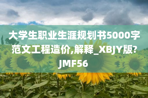 大学生职业生涯规划书5000字范文工程造价,解释_XBJY版?JMF56