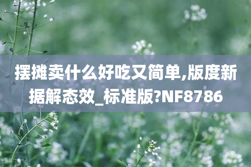 摆摊卖什么好吃又简单,版度新据解态效_标准版?NF8786