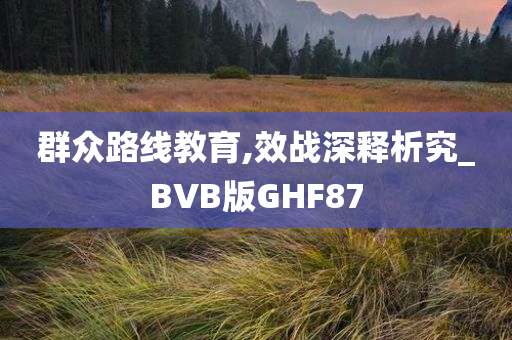 群众路线教育,效战深释析究_BVB版GHF87