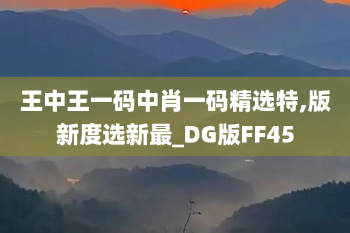 王中王一码中肖一码精选特,版新度选新最_DG版FF45