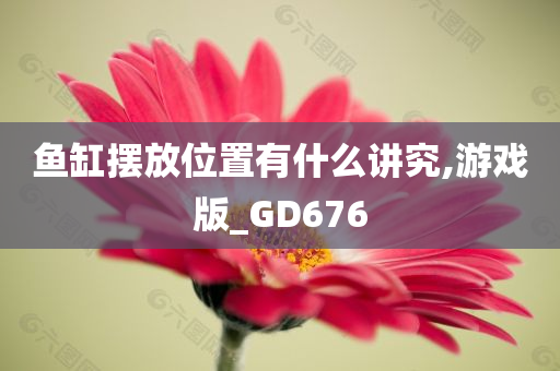 鱼缸摆放位置有什么讲究,游戏版_GD676