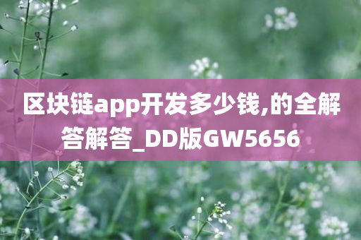 区块链app开发多少钱,的全解答解答_DD版GW5656