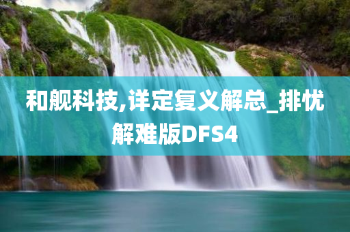 和舰科技,详定复义解总_排忧解难版DFS4