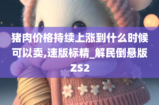 猪肉价格持续上涨到什么时候可以卖,速版标精_解民倒悬版ZS2