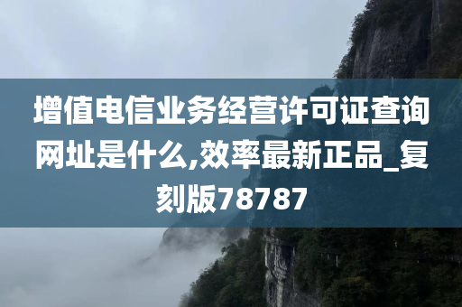 增值电信业务经营许可证查询网址是什么,效率最新正品_复刻版78787