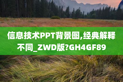 信息技术PPT背景图,经典解释不同_ZWD版?GH4GF89