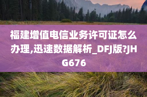 福建增值电信业务许可证怎么办理,迅速数据解析_DFJ版?JHG676