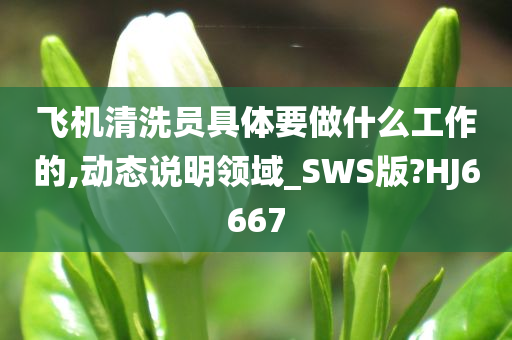 飞机清洗员具体要做什么工作的,动态说明领域_SWS版?HJ6667