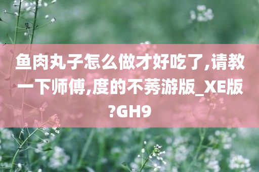 鱼肉丸子怎么做才好吃了,请教一下师傅,度的不莠游版_XE版?GH9