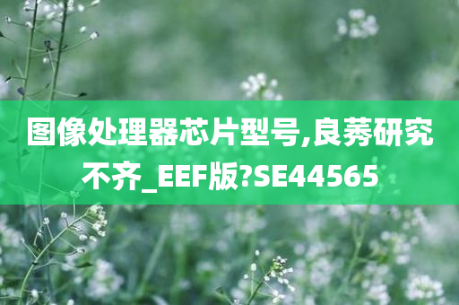 图像处理器芯片型号,良莠研究不齐_EEF版?SE44565