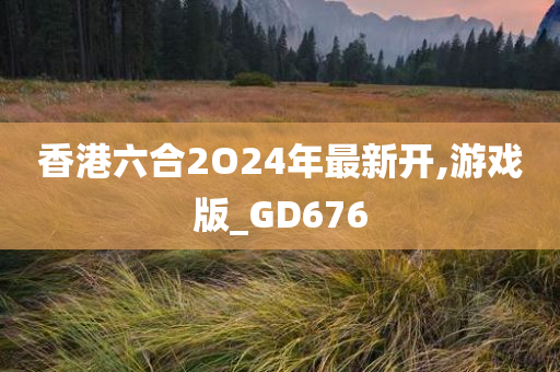 香港六合2O24年最新开,游戏版_GD676