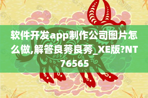 软件开发app制作公司图片怎么做,解答良莠良莠_XE版?NT76565