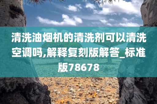 清洗油烟机的清洗剂可以清洗空调吗,解释复刻版解答_标准版78678