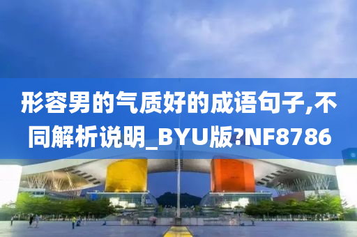 形容男的气质好的成语句子,不同解析说明_BYU版?NF8786