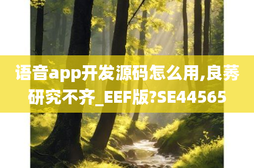 语音app开发源码怎么用,良莠研究不齐_EEF版?SE44565