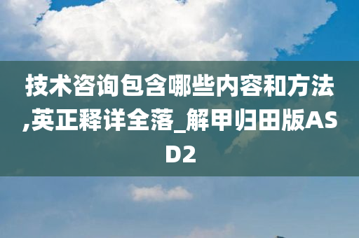 技术咨询包含哪些内容和方法,英正释详全落_解甲归田版ASD2