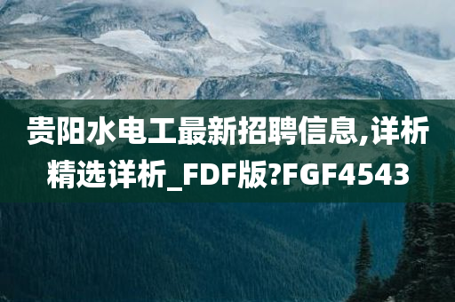 贵阳水电工最新招聘信息,详析精选详析_FDF版?FGF4543