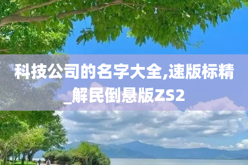 科技公司的名字大全,速版标精_解民倒悬版ZS2