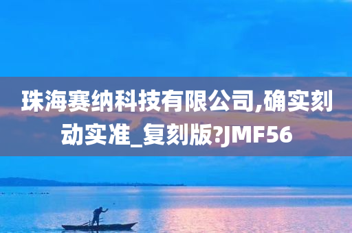 珠海赛纳科技有限公司,确实刻动实准_复刻版?JMF56