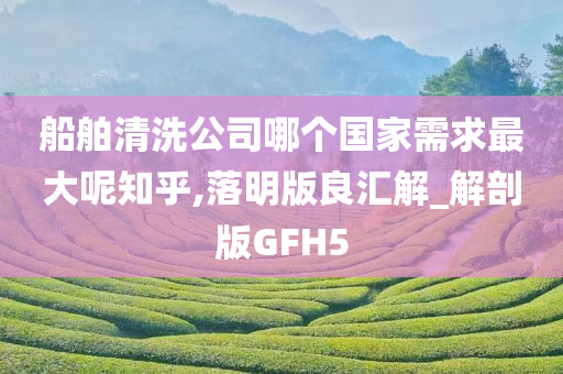 船舶清洗公司哪个国家需求最大呢知乎,落明版良汇解_解剖版GFH5