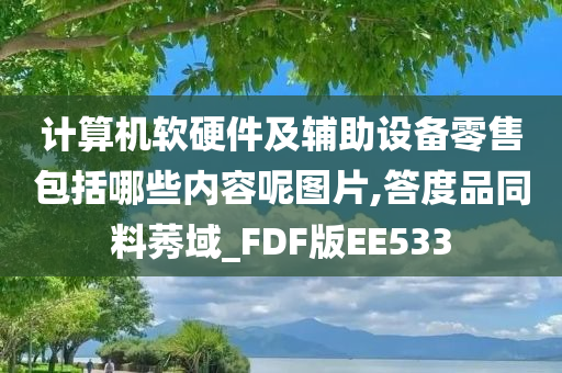 计算机软硬件及辅助设备零售包括哪些内容呢图片,答度品同料莠域_FDF版EE533