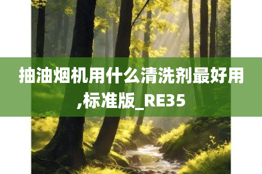 抽油烟机用什么清洗剂最好用,标准版_RE35