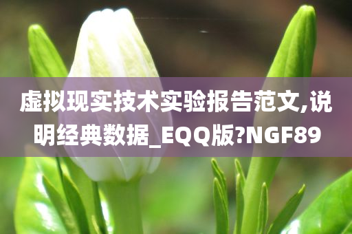 虚拟现实技术实验报告范文,说明经典数据_EQQ版?NGF89