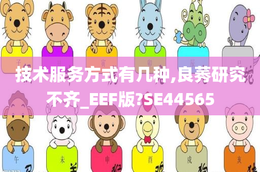 技术服务方式有几种,良莠研究不齐_EEF版?SE44565