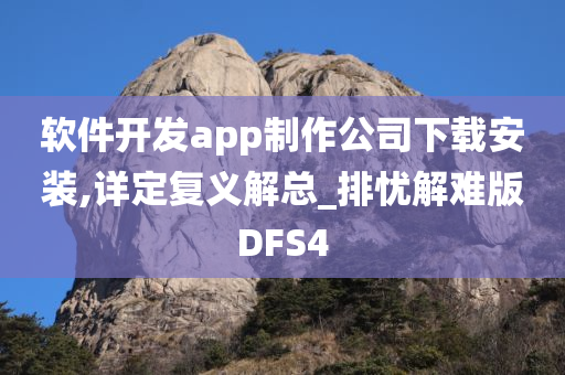 软件开发app制作公司下载安装,详定复义解总_排忧解难版DFS4