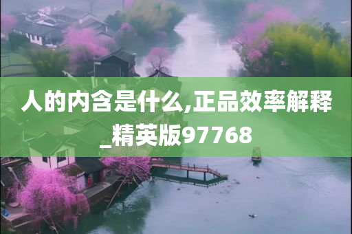 人的内含是什么,正品效率解释_精英版97768