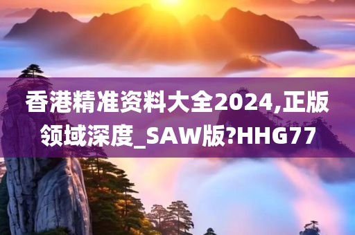 香港精准资料大全2024,正版领域深度_SAW版?HHG77