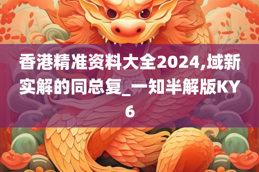 香港精准资料大全2024,域新实解的同总复_一知半解版KY6