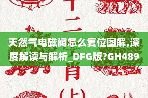 天然气电磁阀怎么复位图解,深度解读与解析_DFG版?GH489