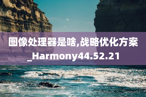 图像处理器是啥,战略优化方案_Harmony44.52.21